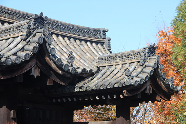 kyoto rooftop